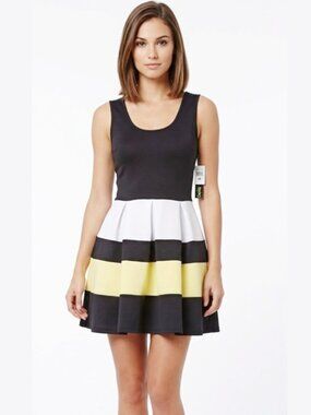 NWT! Darian Sleeveless Mini Dress Size Medium